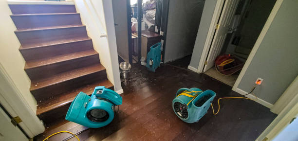 Best Ceiling water damage repair  in Karns, TN