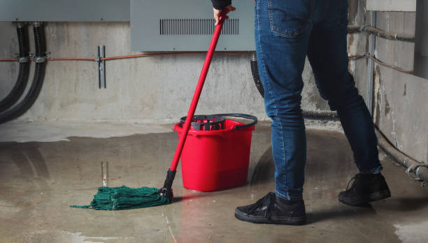 Best Water damage cleanup near me  in Karns, TN