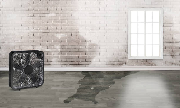 Reliable Karns, TN Water damage restoration Solutions