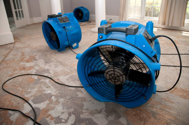 Best Carpet water damage restoration  in Karns, TN
