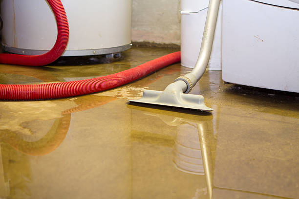 Best Basement water damage restoration  in Karns, TN
