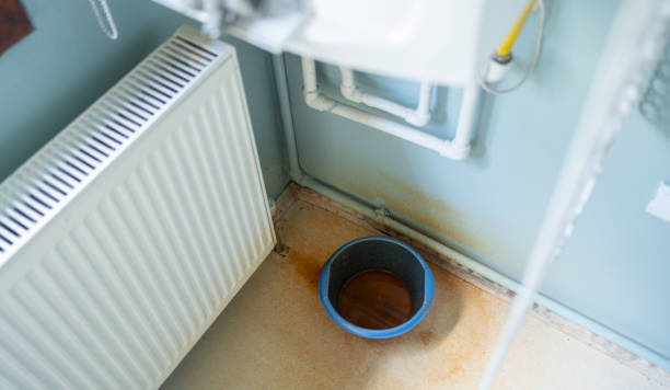Best Professional water damage repair  in Karns, TN