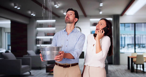 Best Local water damage restoration  in Karns, TN